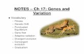 NOTES – Ch 17: Genes and Variation...NOTES – Ch 17: Genes and Variation Vocabulary – Fitness – Genetic Drift – Punctuated Equilibrium – Gene flow – Adaptive radiation
