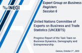 Expert Group on Business Registers Session 6 United ... · Expert Group on Business Registers Session 6 United Nations Committee of Experts on Business and Trade Statistics (UNCEBTS)