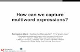 How can we capture multiword expressions?...• THE DEVIL'S DICTIONARY ((C)1911 Released April 15 1993) • Easton's 1897 Bible Dictionary • Elements database 20001107 • The Free