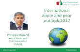 International apple and pear outlook 2017prognosfruit.eu/wp-content/uploads/2017/03/10-Philippe-Binard... · 2017: EU neighbourhood Turkey Official statistic at > 3 MioT, but other