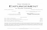 Your Guide to EXPUNGEMENT · To get a record expunged you should: • learn what expungement is. This guide helps you do that. • figure out if your charge or conviction can be expunged.