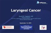 Laryngeal Cancer - AHNS · • SEER database, 1998 –2012 • 13,312 cases • 52.5% radiation alone • 15.9% surgery alone • 5-year DSS survival higher for surgery alone for