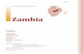 Zambia - irp-cdn.multiscreensite.com · Zambia is a landlocked country in southern Africa, located between latitudes 8ºS and 18ºS and longitudes 22ºE and 33ºE. It covers a total