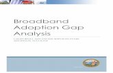 Broadband Adoption Gap AnalysisSpecific to this analysis, the following terms are defined as follows: • Consumer fixed internet access connections: Wireline or fixed wireless broadband