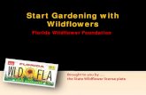 Start Gardening with Wildflowersflawildflowers.org/.../pdf2012/...Symposium-lorez.pdf · Oakleaf hydrangea (Hydrangea quercifolia) •Grows 4 - to 8-feet tall and wide, trims to nice