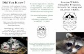 Did You Know? Procyon Wildlife Education Programs,€¦ · Bats control insect populations and help farmers by consuming agricultural pests. ... How to determine if a baby wild animal