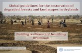 Global guidelines for the restoration of degraded forests ......•Plant where and when necessary. Guidelines for practitioners If planting: ... diversity • Nursery techniques •