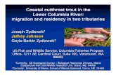 Coastal cutthroat trout in the Lower Columbia River ... Coastal cutthroat trout in the Lower Columbia