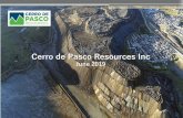 Cerro de Pasco Resources Inc · Cerro de Pasco Resources Inc. [ CSE : CDPR / 14 ] Cerro de Pasco –Directors & Management Steven A. Zadka –Executive Chairman Steven Zadka is a