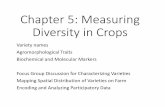 Chapter 5 Measuring Diversity in Crops...Matambre L Chia M Farmer’s characterization of varieties at village level Descriptive traits(FGD) 品种的 名字 地方品种/ 现代品种