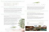 DAY PASSES & YOGA SESSIONS - Snowpine Menu.pdf · age-defying benefits of marine charged Padina Pavonica and Red ... A therapeutic combination of Tai massage and Shiatsu ... MOTHER-TO-BE