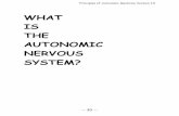 WHAT IS THE AUTONOMIC NERVOUS SYSTEM? · The autonomic nervous system is the body’s “automatic nervous system.” To keep you alive and thrive, your body has to be able to coordinate