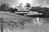 Healthy soils - Hort360 · 2015-10-26 · Jason Huggins, and members of the AUSVEG Environmental Committee. Helena Whitman Project Leader AUSVEG Ltd, Environmental Manager . vi. vii