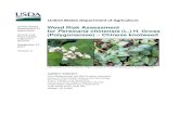 Persicaria chinensis WRA - USDA-APHIS · 10/14/2011  · Plant Protection and Quarantine (PPQ) regulates noxious weeds under the authority of the Plant Protection Act (7 U.S.C. §