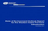 State of Environment Outlook Report for the Western Cape ......Oct 19, 2012  · State of Environment Outlook Report for the Western Cape Province iv ABBREVIATIONS AND ACRONYMS ARV