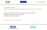 SOCIO-ECONOMIC AND VALUE CHAIN ASSESSMENT OF …€¦ · Development Cooperation in Ethiopia, please visit: For further information on the European Union, its activities in Ethiopia