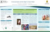 Onchocerciasis and the Right to Clean Water · several other agencies (OEPA, OCP, APOC) Symptoms Treatment Prevention and Control. People with heavy infections generally have one