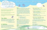 ECI-Help Starts Here as I play and interact · Preemie Brochure final draft.indd Created Date: 6/23/2006 1:37:09 PM ...