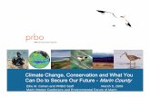 Climate Change, Conservation and What You Can Do to Secure ... · PRBO Conservation Science Central Valley- O’Conner Lakes Project Flow: about 65,000 cfs 4 January 2006 RESULTS: