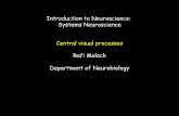 Introduction to Neuroscience: Systems Neuroscience Central … · 2018-12-01 · Whole brain coverage 3X3 mm in 3T scanner. Micro-electrodes 1-10 neurons Firing rate Contacts ...