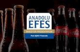 Post 1Q2017 Financials - Anadolu Efes · 2019-11-18 · This presentation may contain certain forward-looking statements concerning our future performance and should be considered
