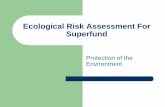 Ecological Risk Assessment For Superfundpassaic.sharepointspace.com/Public Documents/PDT Mtg...2006/01/11  · Step 8: Risk Management Step 7: Risk Characterization Step 6: Site Investigation