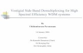 Vestigial Side Band Demultiplexing for High Spectral ... · 15 Alcatel Experimental System ¾Alcatel reported a VSB demultiplexing WDM system with 5 Tbit/s capacity over 1200 km of