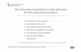 The information potential of crown allometry for tree and ... · 2 tree growth and tree productivity 3 stand density regulation and growth 4 tree species mixing and growth 5 log and
