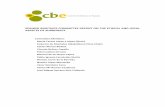 SPANISH BIOETHICS COMMITTEE REPORT ON THE ETHICAL …assets.comitedebioetica.es/...committee_report...aspects_of_surroga… · up a report on the ethical and legal aspects of surrogacy.