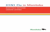 H1N1 Flu in Manitoba · influenza virus a pandemic flu and went to phase six, the highest possible pandemic influenza alert level. The discovery of a new flu virus began in mid-March