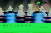 IAM Strategy 2016 - The IAM · IAM Strategy version 1.1 (August) 1 Context The IAM’s ‘Strategy’ explains our long-term approach to achieving our aims, fulfilling our Vision