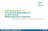 MODULE 5: Sustainable Cattle Productionra-training-library.s3.amazonaws.com/Technical Module P5.pdf · Standard is a key tool for the implementation and evaluation of the Standard