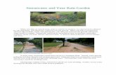Stormwater and your rain garden - lsuagcenter.com/media/system/5/5/6/4... · Rain gardens should ideally be located between the source of runoff (roofs and driveways) and the runoff