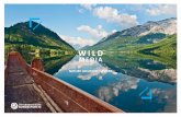 WILD MEDIA -  · 2019-04-16 · WILD MEDIA, Österreichische Bundesforste (Austrian Federal Forests) offers creative professionals from around the world access to a wide range of
