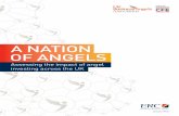 A NATION OF ANGELS - Enterprise Research Centre · Angels reported a lower rate of low returns and a higher rate of expected higher returns than in previous research which shows considerable