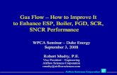 Gas Flow – How to Improve It to Enhance ESP, Boiler, FGD ...wpca.info/pdf/presentations/Duke_Sept2008/WPCA_Duke_2008_Gas_… · Computational Fluid Dynamics (CFD) Inflow Outflow