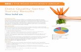 REG – Data quality sector survey results · The survey results have been analysed and considered by REG. This brief report summarises the findings and REG’s conclusions. The complete