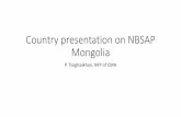 Country presentation on NBSAP Mongolia · Country presentation on NBSAP Mongolia P. Tsogtsaikhan, NFP of CMH. Country profile •Area: 1.5 mln sq km •Population: 3.2 mln •Capital