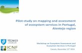 Pilot-study on mapping and assessment of ecosystem ...Nisa and Marvão (Alto Alentejo), and in Mourão, Castro Verde and Mértola Little egret (Garça-branca pequena) – Egretta garzetta
