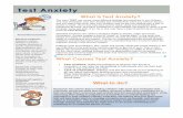Test Anxiety Handout · test can help them overcome t disappointment are ... of stress come test time. If so, he or she may have a type of performance anxiety know as Test Anxiety.