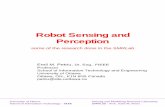 Robot Sensing and Perception - Engineeringpetriu/robot-percep_emil.pdf · School of Information Technology and Engineering University of Ottawa Ottawa, ON., K1N 6N5 Canada petriu@site.uottawa.ca