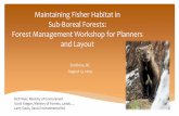 Maintaining Fisher Habitat in Sub-Boreal Forests: Forest … · 2019-08-21 · Maintaining Fisher Habitat in Sub-Boreal Forests: Forest Management Workshop for Planners and Layout
