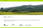 CGIAR Research Program on Forests, Trees and Agroforestry3].pdf · CGIAR Research Program on Forests, Trees and Agroforestry . January-June 2012 . This CGIAR Research Program on Forests,