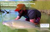 A better future for Recreational Fishing in South Australia€¦ · A better future for Recreational Fishing in South Australia Recreational Fishing Strategic Plan 2014-2018 Prepared