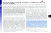 Retro-translocation of mitochondrial intermembrane space ... · Retro-translocation of mitochondrial intermembrane space proteins Piotr Bragoszewskia, Michal Wasilewskia, Paulina