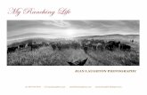 My Ranching Life - Jean Laughton photography changed drastically - prompting the start my long term
