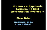 Normo- vs. hypobaric hypoxia. Is lipid peroxidation involved · pre HA post HA pre SL post SL Pre- and postexercise capillary blood PCO 2 at high altitude (HA) and sea level (SL)n