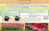 Echinacea SUPREME™ 'Elegance'€¦ · Stately and elegant, SUPREMETM 'Elegance' was the inspiration for the series. A lovely, deep rose-red center enriches as the flower ages. The