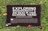 Biodiversity’s Big Ideas in Your School yard€¦ · how biodiversity persists and that diversity is impor-tant for ecosystem function. Fortunately, students are incredibly curious