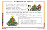 Christmas Trees - Amazon Web Services...Christmas tree with lights, for people to enjoy outside. Christmassy Facts! 1. The famous London Chri stmas tree in Trafalgar Square is a gift